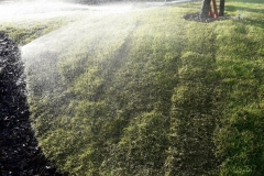  Realizace automatické závlahy - Králův Dvůr