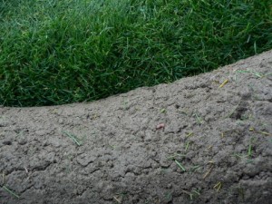 Travní­ koberec tloušťka 2,5 cm